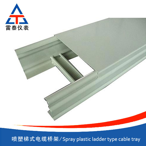 Spray plastic ladder type cable tray
