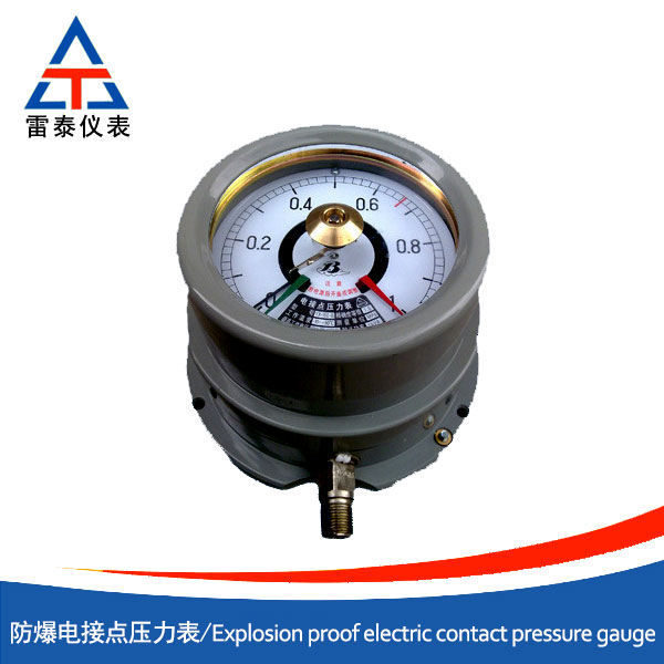 Explosion proof pressure gauge