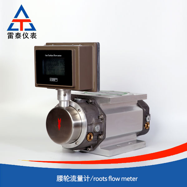 Roots flow meter